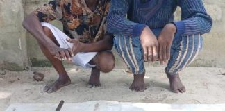 “Police Nab Two Armed Robbery Suspects, Recover Guns & Ammunition in Ughelli Raid”