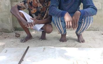 “Police Nab Two Armed Robbery Suspects, Recover Guns & Ammunition in Ughelli Raid”