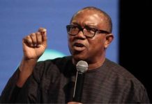 Peter Obi Slams Ambassadorial List: Shocking Names Being Paraded