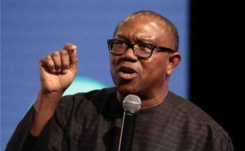 Peter Obi Slams Ambassadorial List: Shocking Names Being Paraded