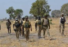 Security Boost as Army Ambush Ends With 11 Terrorists Killed in Sokoto