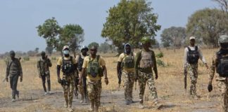 Security Boost as Army Ambush Ends With 11 Terrorists Killed in Sokoto