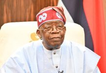 Northern Elders Group Supports Tinubu’s Reform Agenda, Dismisses NEF View on FIRS