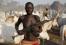 Violence in Bauchi: Fulani Herdsmen Attack Man, Wreck Property