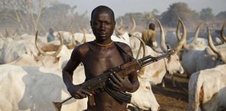 Violence in Bauchi: Fulani Herdsmen Attack Man, Wreck Property