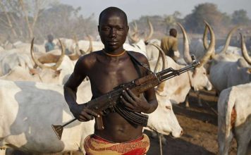 Violence in Bauchi: Fulani Herdsmen Attack Man, Wreck Property