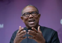 2027: Peter Obi Is a Good Man but Surrounded by Spoilers — Buhari’s Ex-Aide Ahmad