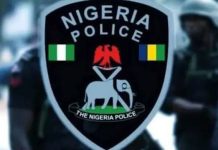 Police Arrest Woman for Allegedly Burning Maid’s Private Parts in Imo