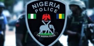 Police Arrest Woman for Allegedly Burning Maid’s Private Parts in Imo