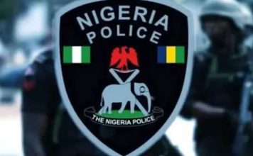 Police Arrest Woman for Allegedly Burning Maid’s Private Parts in Imo