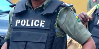 Jigawa Police Promote Security With Crime-Free Christmas Campaign