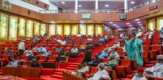 Reasons Behind Senate’s Refusal of Musa’s Bow and Go Screening Revealed