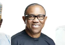 Kwankwaso May Align with Atiku, Peter Obi, El-Rufai as He Eyes ADC Move