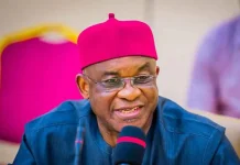 Doctrine of Necessity Debate: David Mark Insists It Originated from Senate, Not National Governors Forum