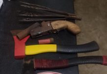 Delta Police Score Big: 10 Suspected Kidnappers and Cultists Arrested, Firearms and Stolen Vehicle Recovered