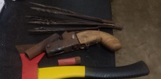 Delta Police Score Big: 10 Suspected Kidnappers and Cultists Arrested, Firearms and Stolen Vehicle Recovered