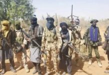 Malumfashi Under Siege as Bandits Violate Peace Agreement, Residents Killed