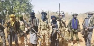 Malumfashi Under Siege as Bandits Violate Peace Agreement, Residents Killed