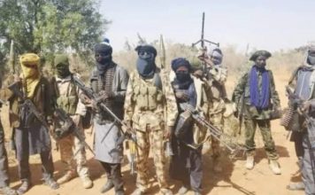 Malumfashi Under Siege as Bandits Violate Peace Agreement, Residents Killed