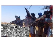 IS-Sahel Terrorists Carry Out Execution of Four Over Alleged Practices