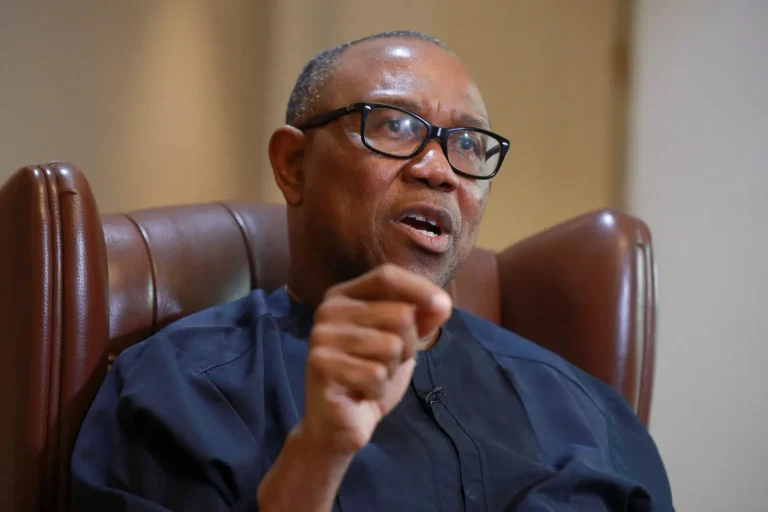 ADC Begins Campaign in FCT as Peter Obi Makes Appearance