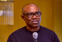 Peter Obi Advocates for Reform in Nigeria’s Taxation and Leadership Systems