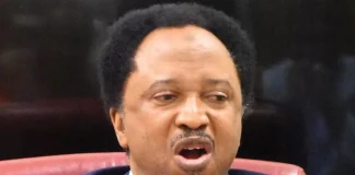 ‘Lie Low and Pray’ — Shehu Sani’s Message to Nigerians in the US