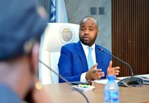 Adedeji: Nigeria Lacks Provision to Tax the Informal Economy