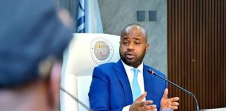 Adedeji: Nigeria Lacks Provision to Tax the Informal Economy