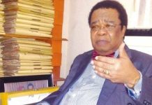 Nigeria Must Aspire for Unmatched Power in Africa – Ex-Minister Akinyemi