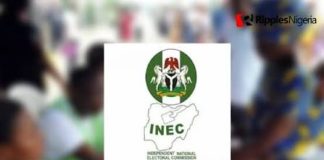 No Court Order Compels Release Of Labour Party Access Codes For FCT Elections – INEC