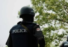 Police Detain Alpha-Beta Whistleblower Linked to Tinubu Over Alleged Cyberbullying