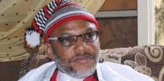 Nnamdi Kanu: Royal Plea for Release Sparks Public Debate