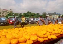 Customs Officer Loses Life in Ogun Ambush as Smuggled Goods Worth N3.32bn Are Recovered