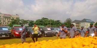 Customs Officer Loses Life in Ogun Ambush as Smuggled Goods Worth N3.32bn Are Recovered