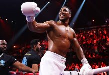 Joshua’s Boxing Career Shaken After Fatal Crash in Nigeria, Says Hearn
