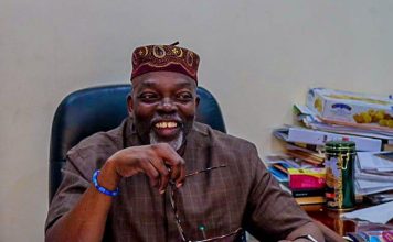 Political Shake-Up: Bisi Ilaka Resigns from PDP