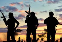 Bakoji Warns of Intelligence Gaps in Aerial Bombardment of Sambisa