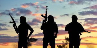 Bakoji Warns of Intelligence Gaps in Aerial Bombardment of Sambisa