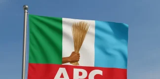 Tinubu’s Presidency on the Ballot in Rivers, FCT, Kano By-Elections – Lagos APC