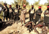 Kebbi: Police Push Back Bandits After Attack on Operatives