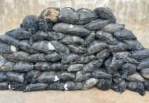 Drug Bust: NDLEA Confiscates 64 Suspected Cannabis Bags on Zaria–Kano Road