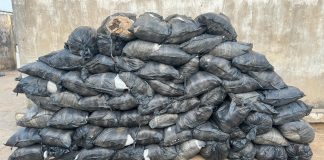 Drug Bust: NDLEA Confiscates 64 Suspected Cannabis Bags on Zaria–Kano Road
