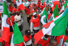 FCDA Employees Protest Unpaid Wages; NLC and TUC Rally in Solidarity