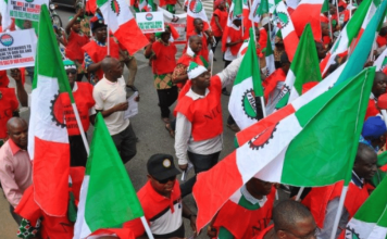 FCDA Employees Protest Unpaid Wages; NLC and TUC Rally in Solidarity