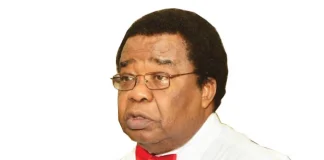 ‘Things Would Have Been Different’ – Former Minister on Murtala Muhammed’s Assassination