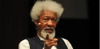 Soyinka Criticises Leaders for Embracing Colonial-Era Governance Styles