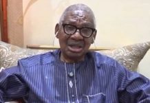 ‘Governors Risk Exposure,’ Says Itse Sagay on State Police Proposal