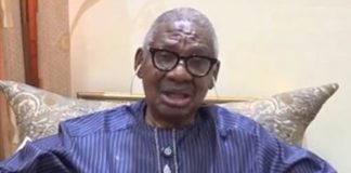 ‘Governors Risk Exposure,’ Says Itse Sagay on State Police Proposal