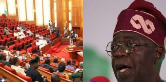 Lawmakers Reject Tinubu’s Security Budget as Inadequate, Demand Boost